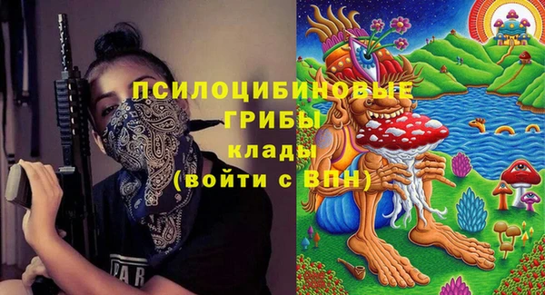 экстази Алексин