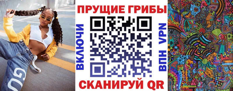 Галлюциногенные грибы Psilocybine cubensis  Лахденпохья 